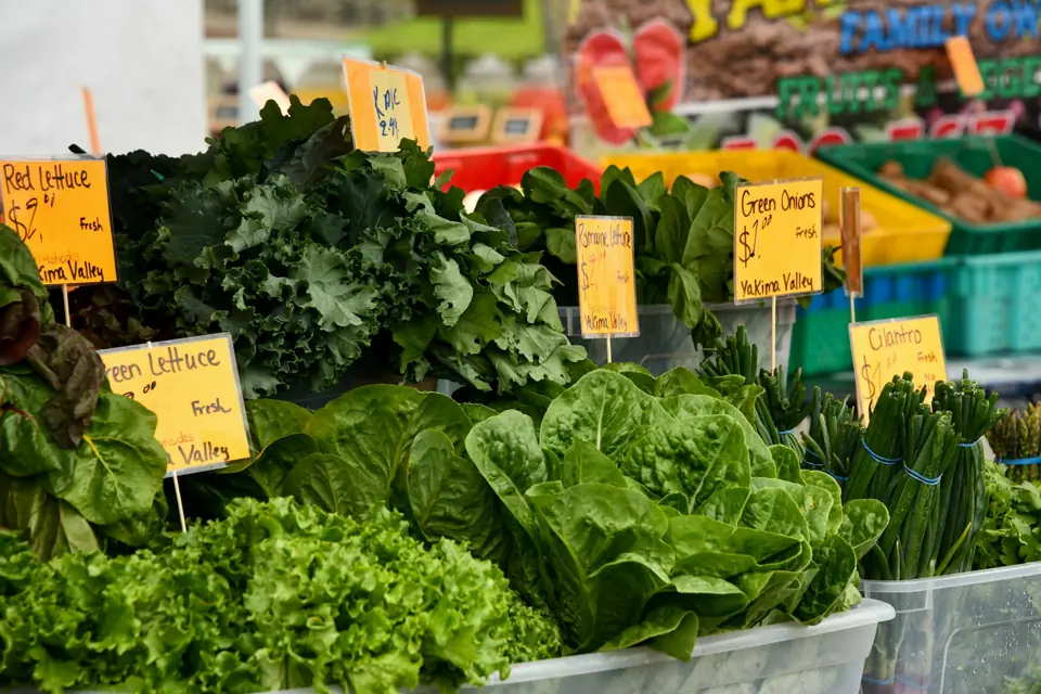 Lettuce, kale, herbs and green onions arranged at a market stall