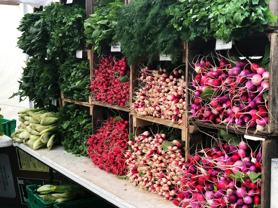 Radishes, herbs and corn arranged in wooden farmers-market displays