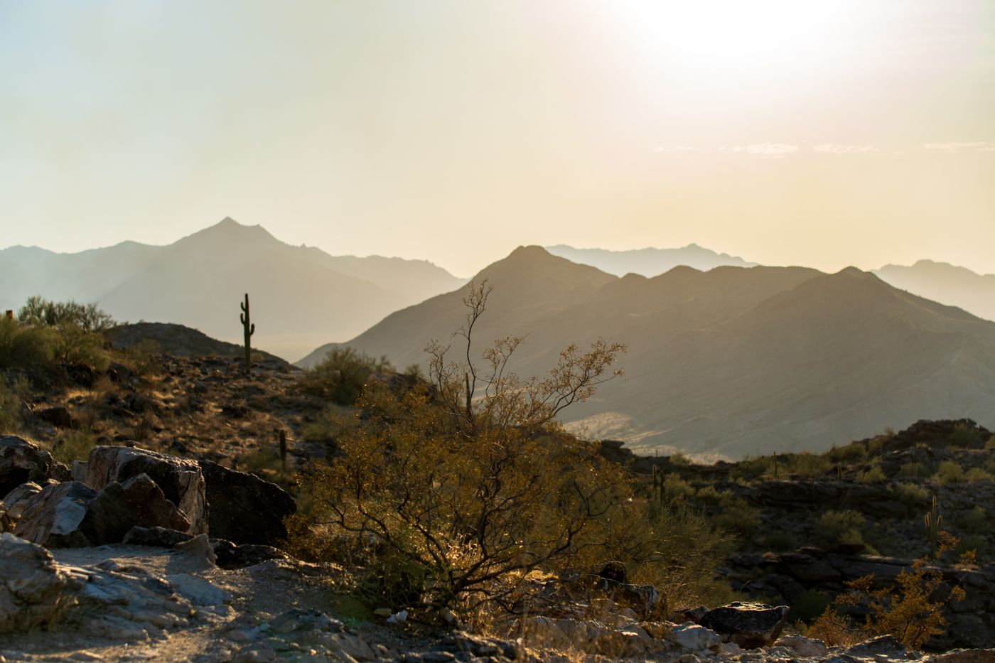 Sunlit mountains and saguaro cactus in the Arizona desert